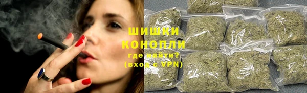 МДПВ Богородицк