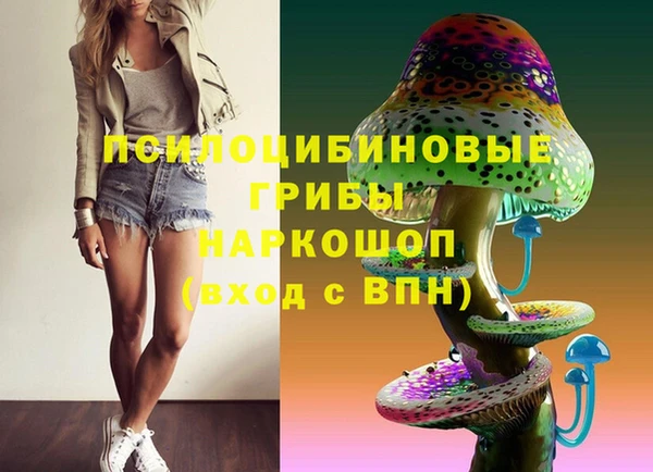 герыч Богородск