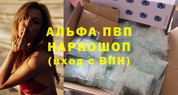 амф Богданович
