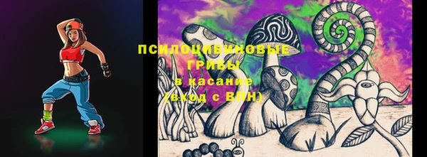 МДПВ Богородицк