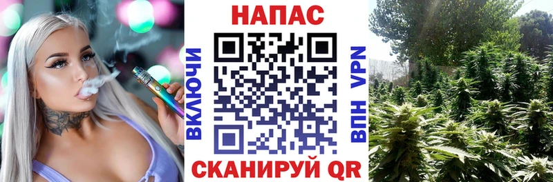 Бошки марихуана план  наркотики  Кольчугино 